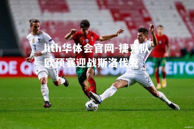 捷克队欧预赛迎战斯洛伐克