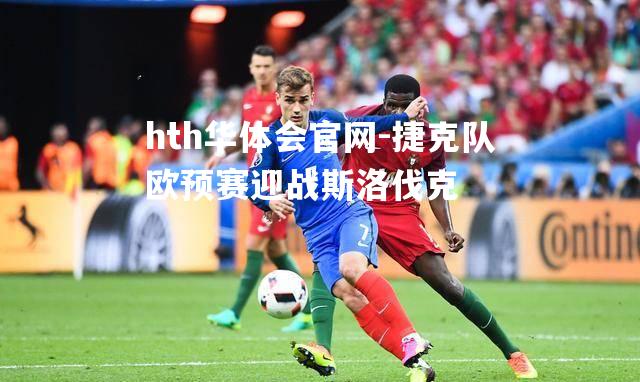 捷克队欧预赛迎战斯洛伐克
