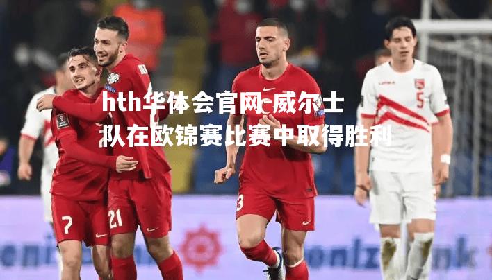 威尔士队在欧锦赛比赛中取得胜利